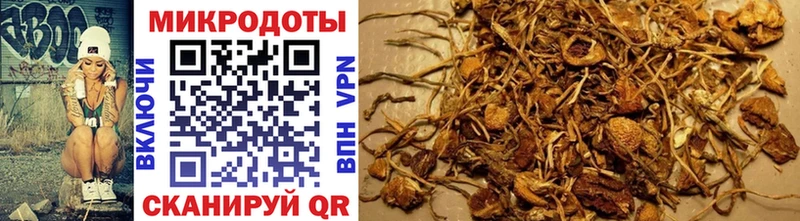 Галлюциногенные грибы MAGIC MUSHROOMS  Купить  Завитинск 