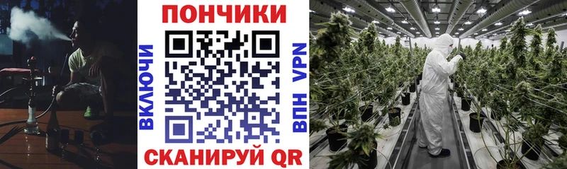 Каннабис Ganja  Купить  Завитинск 